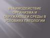 Взаимодействие организма и окружающей среды в условиях патологии