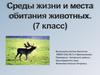 Среда жизни (среда обитания). 7 класс