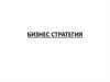 Бизнес-стратегия. Финансовая модель проекта. Финансовый анализ компании