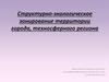 Структурно-экологическое зонирование территории города, техносферного региона