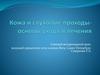 Кожа и слуховые проходы у животных. Уход и лечение