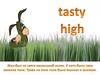 Tasti high