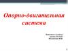 Опорно-двигательная система