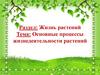 Основные процессы жизнедеятельности растений