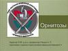 Орнитозы