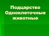 Подцарство Одноклеточные животные. Зоология простейшие