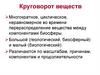 Круговорот веществ. Лекция 4-16