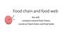 Food chain and food web