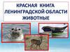Красная книга природы Ленинградской области. Животные
