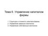Управление капиталом фирмы