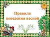 Правила поведения весной