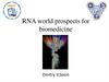 RNA world prospects for biomedicine