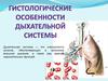 Гистологические особенности дыхательной системы