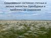 Современное состояние степных и лесных экосистем Оренбуржья и проблемы их сохранения