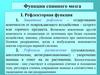 Функции спинного мозга. Рефлекторная функция