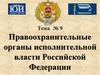 Правоохранительные органы исполнительной власти Российской Федерации