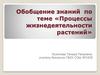 Процессы жизнедеятельности растений