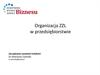 Organizacja ZZL w przedsiębiorstwie
