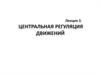 Центральная регуляция движений