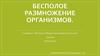Бесполое размножение организмов