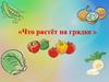 Что растёт на грядке. Пальчиковая гимнастика
