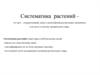 Систематика растений