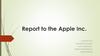 Report to the Apple Inc