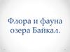 Флора и фауна озера Байкал