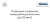 Появление и развитие немецкой журналистики (до ХХ века)