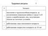 Трудовые ресурсы