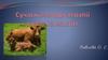 Сучасні методи терапії  корів на мастит