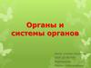 Органы и системы органов