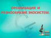 Организация и разнообразие экосистем