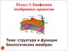 Структура и функции биологических мембран