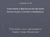 Анатомия и физиология органов полости рта, глотки и пищевода. Лекция № 28