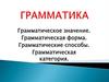 Грамматика. Грамматическое значение
