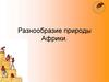 Разнообразие природы Африки