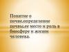 Понятие о почве, определение почвы, ее место и роль в биосфере и жизни человека