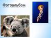 Фотоальбом