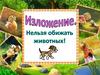 Изложение "Нельзя обижать животных"