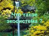 Что такое экосистема