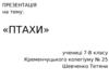 Птахи. Загальна характеристика птахів