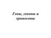 Гены, геномы и хромосомы