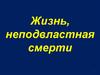 Жизнь, неподвластная смерти