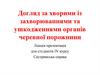 Догляд за хворими із захворюваннями та ушкодженнями органів черевної порожнини