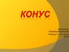Конус. 11 класс