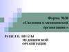 Сведения о медицинской организации. Штаты медицинской организации. Форма 30, раздел II