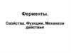 Ферменты. Свойства. Функции. Механизм действия