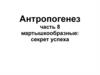 Антропогенез. Мартышкообразные: секрет успеха. (часть 8)