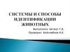 Системы и способы идентификации животных
